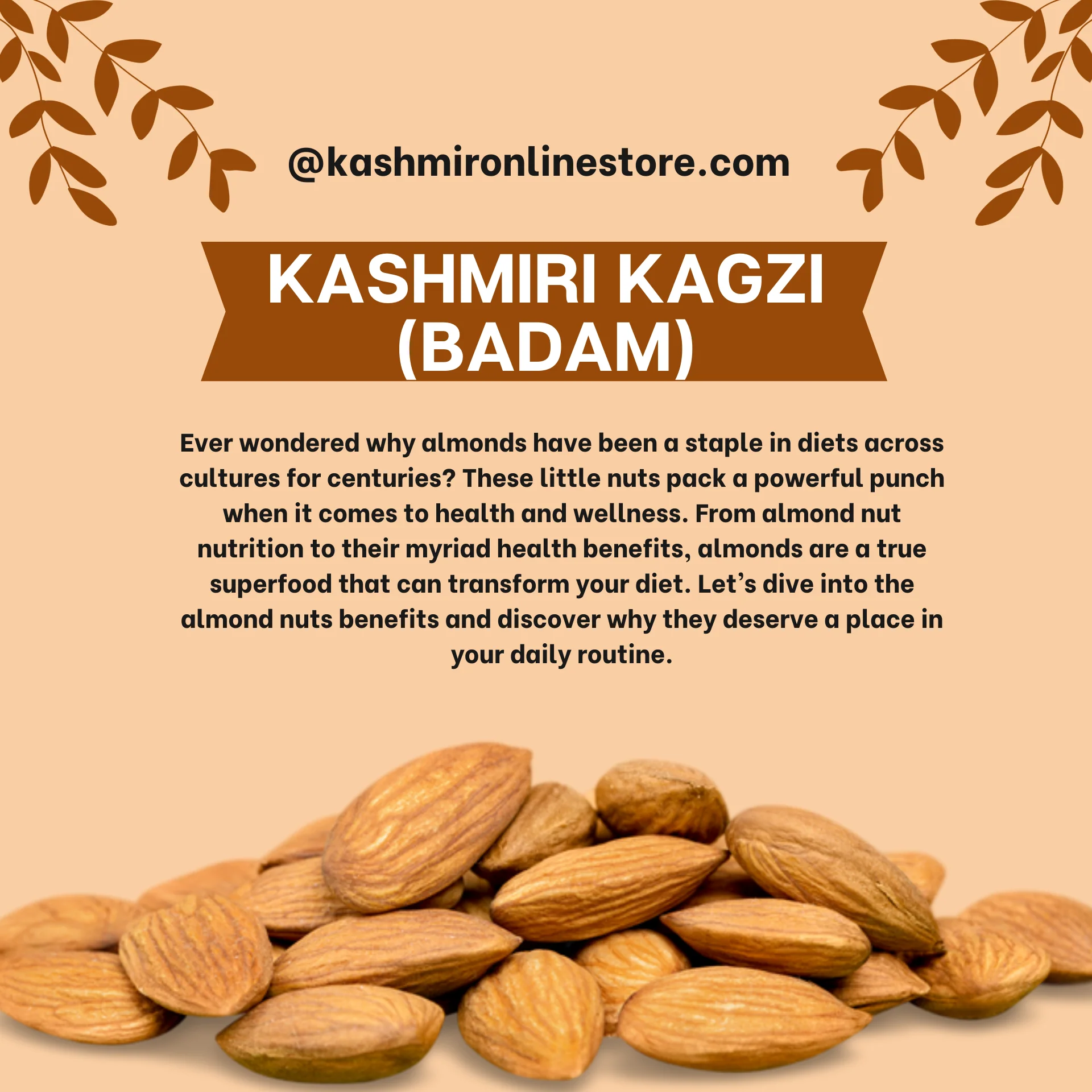 Paper Shell Almonds With Shell- - Image 3