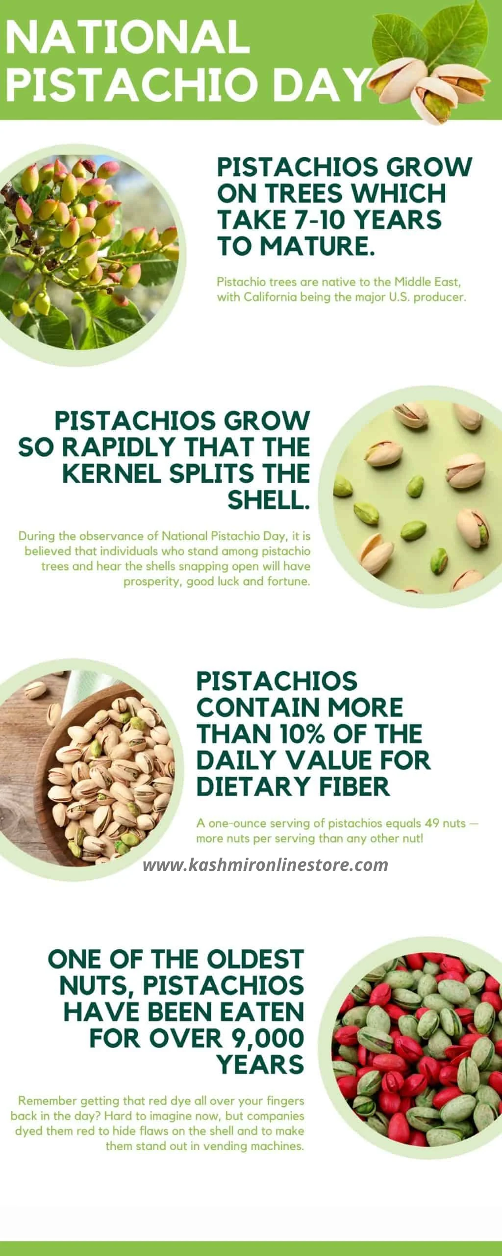 Buy Pista Salted (Pistachio) |Premium Quality Pista Nuts - Image 4